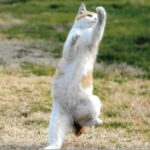 14302_765_sub7