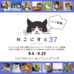 38608_16_main