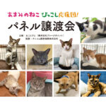 38608_16_sub18