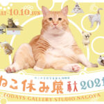 80428_5_main