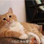 80428_5_sub2