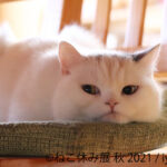 80428_5_sub3