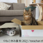 80428_5_sub4