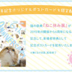 80428_5_sub7