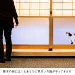 25690_28_sub3