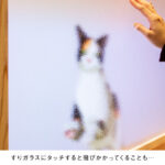 25690_28_sub4