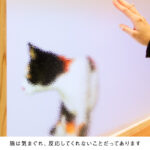 25690_28_sub5-1