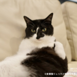 10602_25_sub4