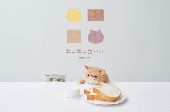 【あの大人気フレーバーが “クリスマス仕様” に変身？！】12月1日より「ねこねこ食パン Xmas三毛猫」がオンライン限定で新発売のサブ画像4