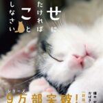 37885_130_main