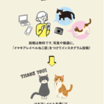 56376_86_sub2