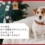8255_195_sub4