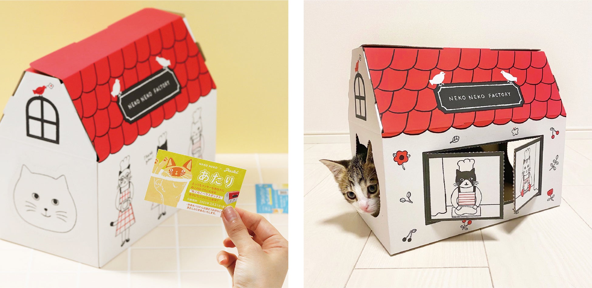 【2/15新発売！ねこづくしな