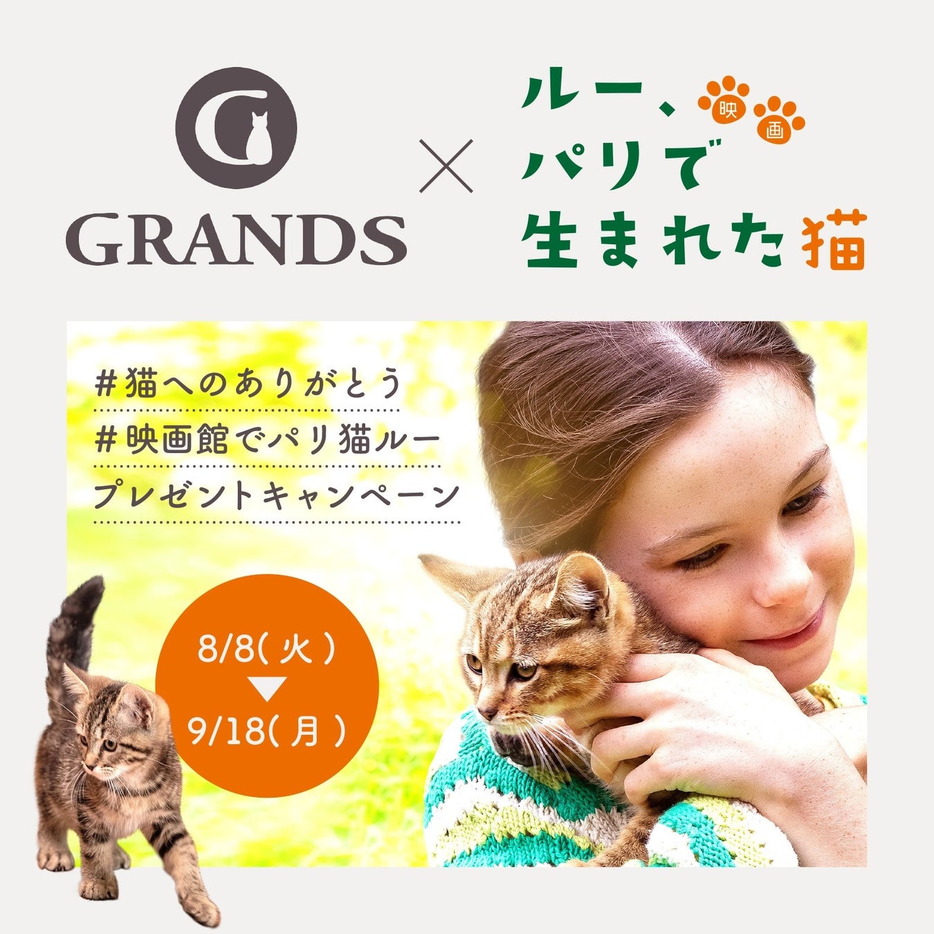 フランス生まれのＧＲＡＮＤＳプレミアムキャットフード×映画「ルー、パリで生まれた猫」タイアップキャンペーン開催！のサブ画像1