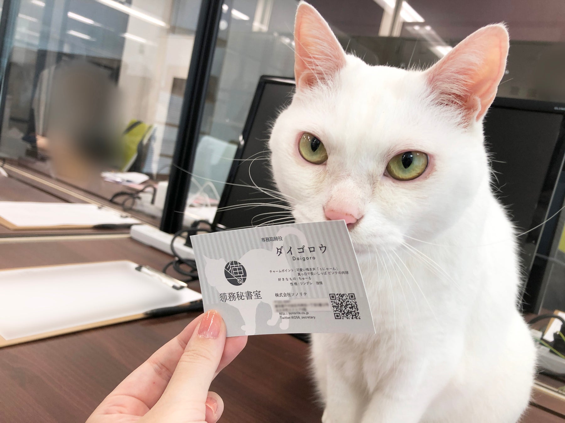期間限定！ねこ専務がサイトをジャック！のサブ画像2
