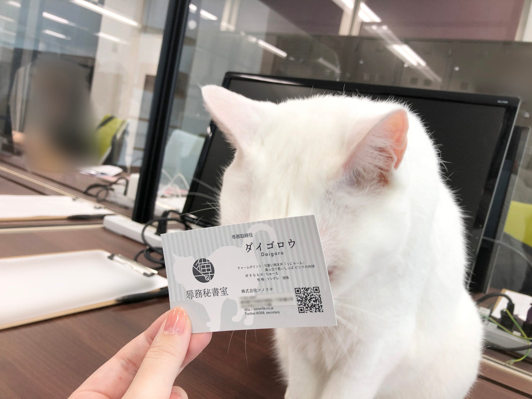 期間限定！ねこ専務がサイトをジャック！のサブ画像3