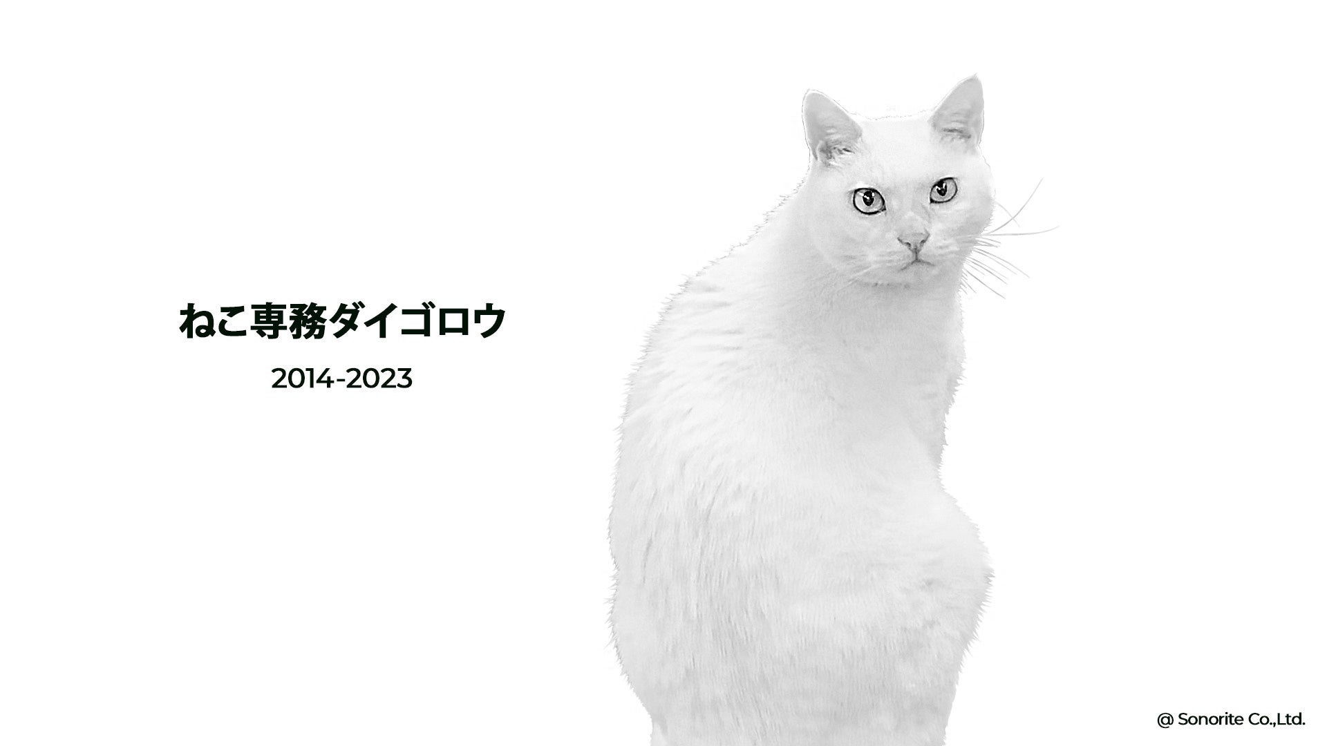 期間限定！ねこ専務がサイトをジャック！のサブ画像4