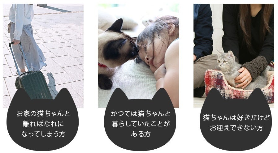 愛らしい猫型のフォルムと、とろふわな手触りを実現して昨年話題になった商品「蓄熱式 電気湯たんぽ にゃたんぽ」に2023年の新色グレーが加わり、mottole（モットル）より発売。のサブ画像11