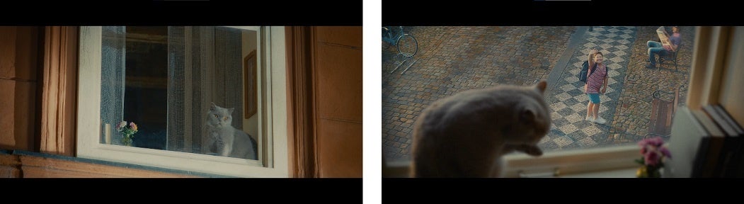 放映10年目を迎えるTVCM「窓と猫の物語」シリーズ　新CMを11月28日から放映のサブ画像1