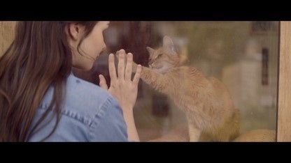 放映10年目を迎えるTVCM「窓と猫の物語」シリーズ　新CMを11月28日から放映のサブ画像3