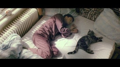 放映10年目を迎えるTVCM「窓と猫の物語」シリーズ　新CMを11月28日から放映のサブ画像4