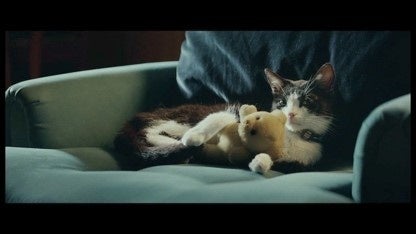 放映10年目を迎えるTVCM「窓と猫の物語」シリーズ　新CMを11月28日から放映のサブ画像5