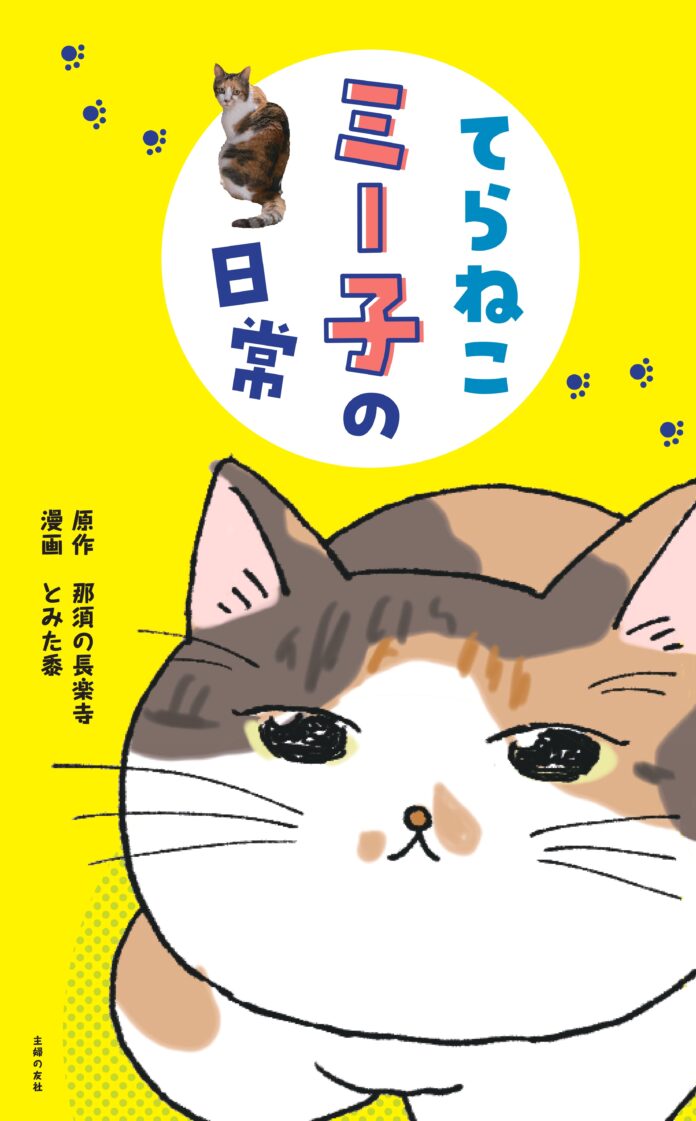 SNS総フォロワー71万人超！“ねこと住職”がてんこ盛り！電子コミック『てらねこミー子の日常』12月15日（金）発売のメイン画像