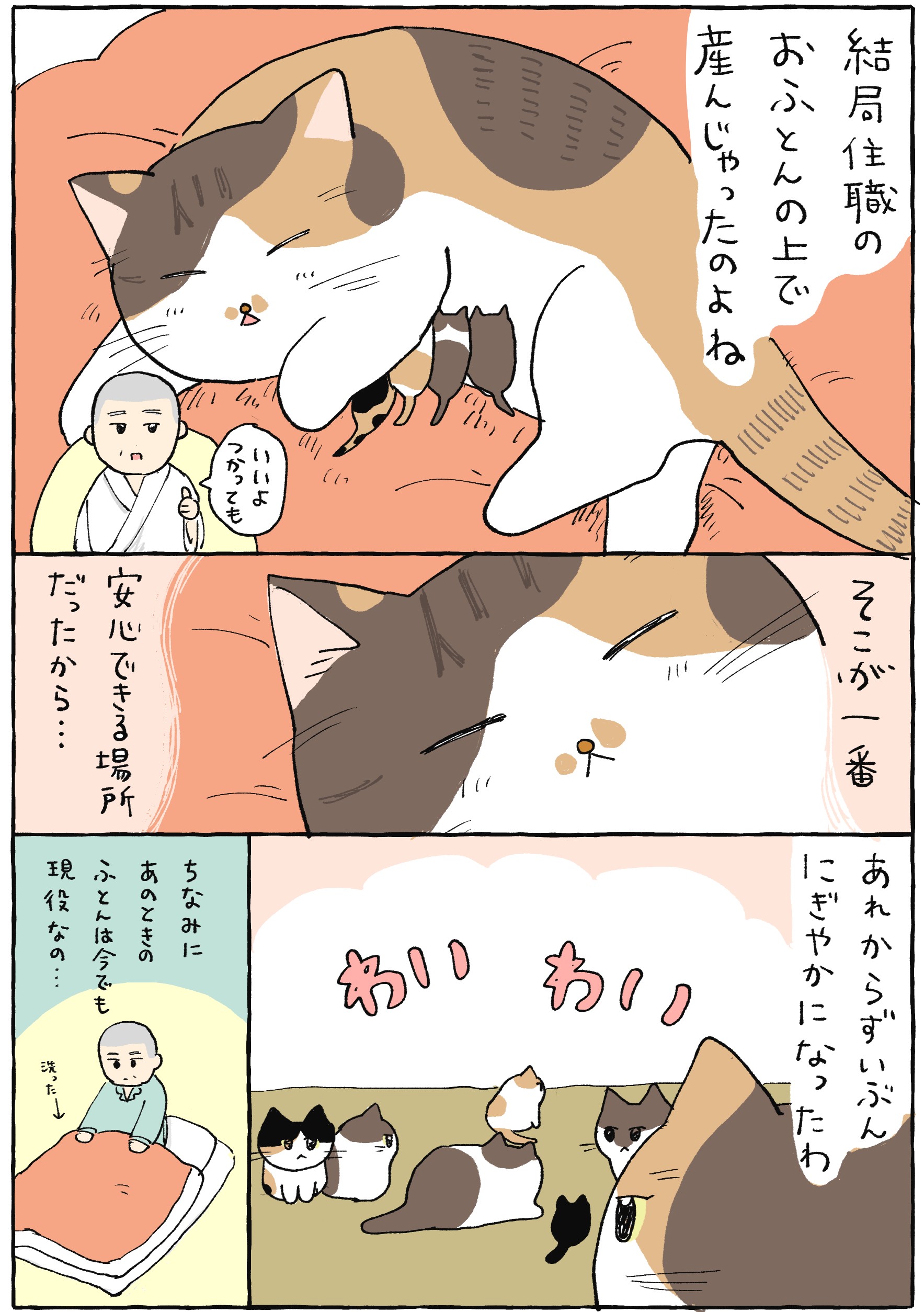 SNS総フォロワー71万人超！“ねこと住職”がてんこ盛り！電子コミック『てらねこミー子の日常』12月15日（金）発売のサブ画像3