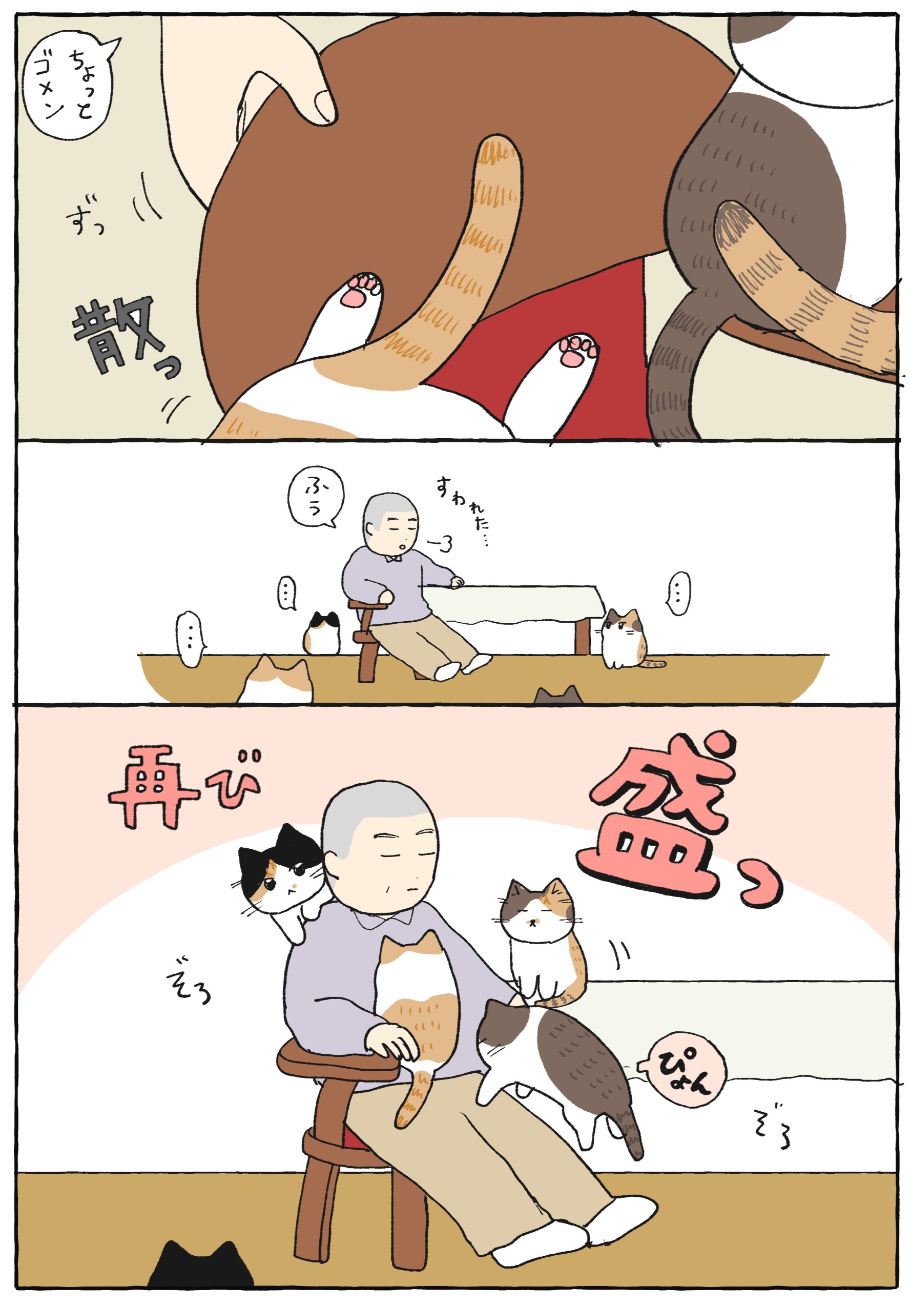 SNS総フォロワー71万人超！“ねこと住職”がてんこ盛り！電子コミック『てらねこミー子の日常』12月15日（金）発売のサブ画像5