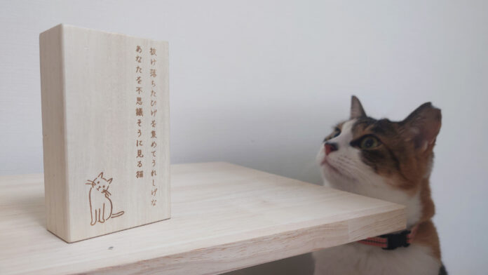 落ちているのを見つけると、ちょっと嬉しい愛猫の「ひげ」を大切に保管できる『猫のいる家に帰りたい ねこひげケース』が発売のメイン画像