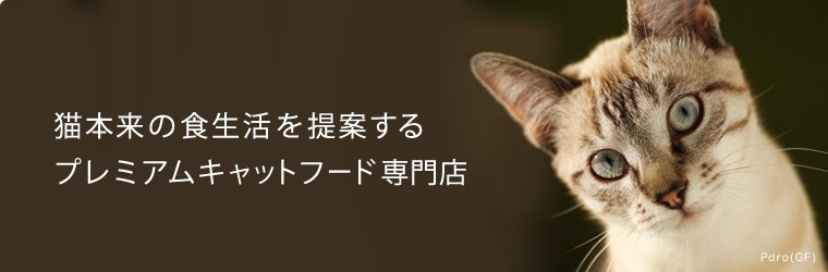 《tama》『10周年創業祭セット』発売開始のサブ画像3