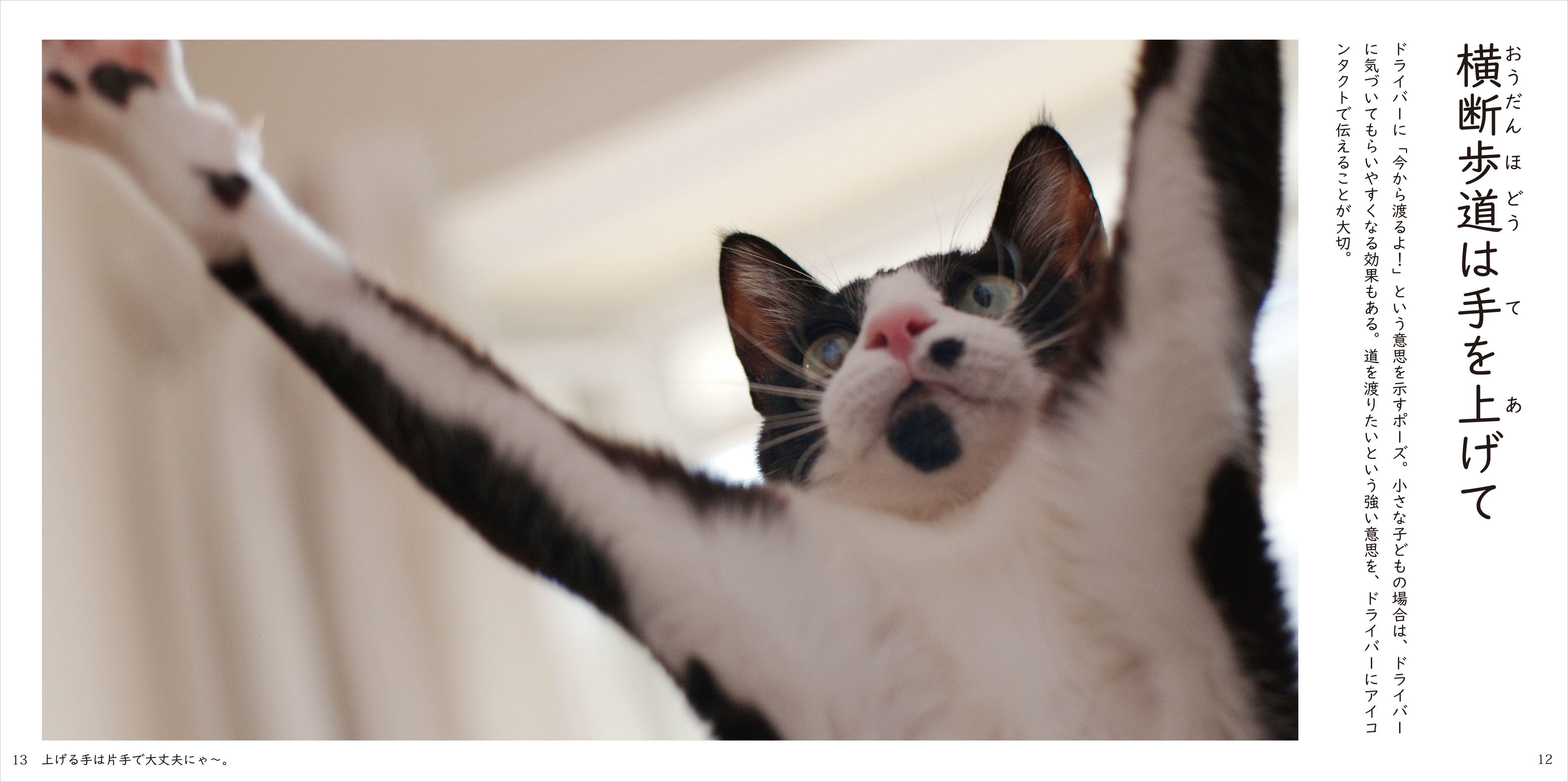 【JAFメディアワークス】交通マナーの本『猫好きにおくる交通まにゃ～ぶっく』を佐賀県に寄贈！交通マナーの妖精「マニャー」も参加する寄贈式を佐賀県立図書館で開催します！のサブ画像3