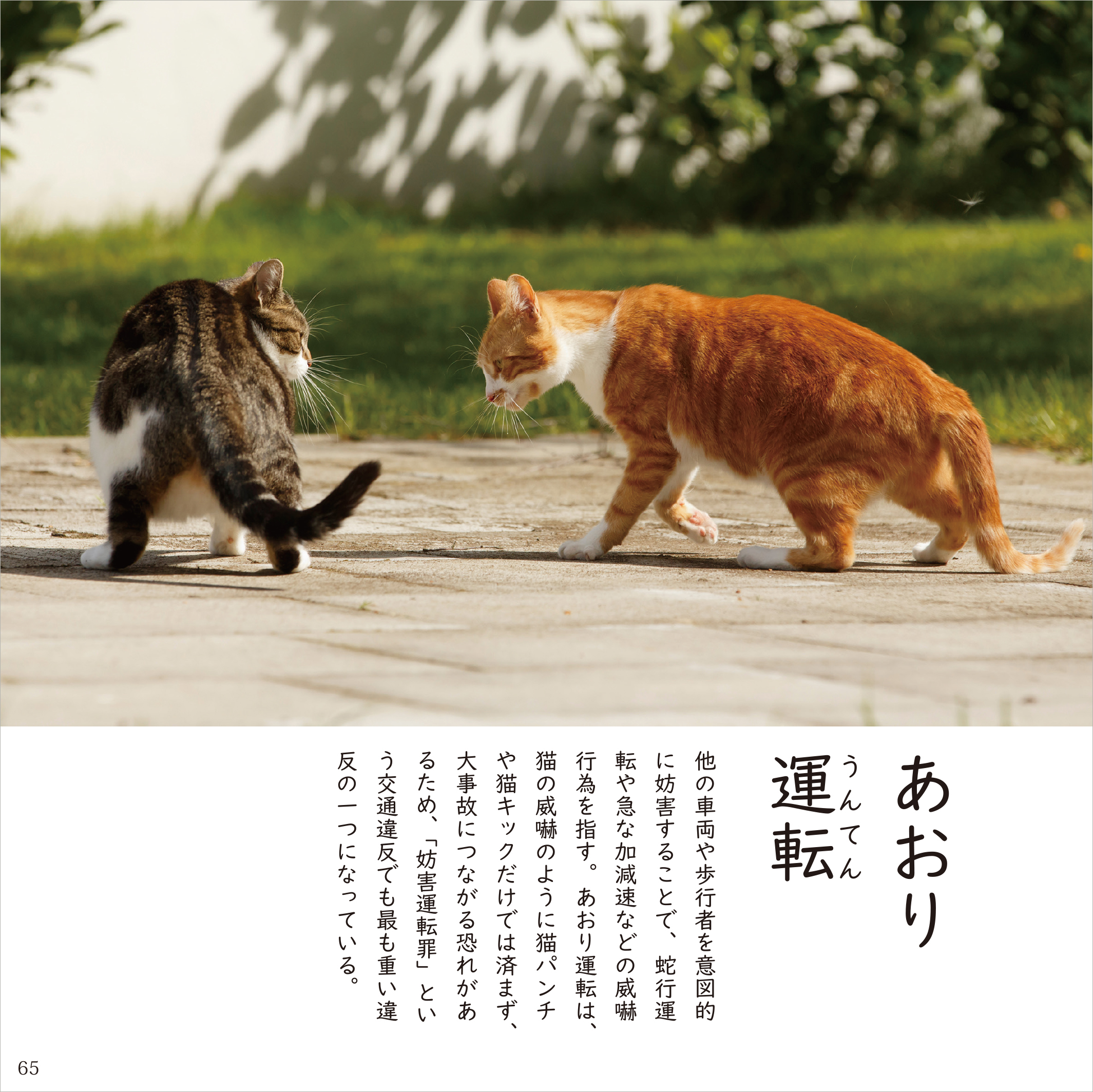 【JAFメディアワークス】交通マナーの本『猫好きにおくる交通まにゃ～ぶっく』を佐賀県に寄贈！交通マナーの妖精「マニャー」も参加する寄贈式を佐賀県立図書館で開催します！のサブ画像4