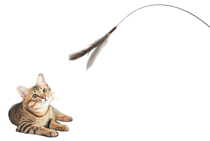 座ったままでも猫ちゃんと遊べる！全長約1.5メートルで大きな羽が付いた「超ロング猫じゃらし」がコメリのオリジナルブランド「Pet ami（ペットアミ）」より登場のメイン画像