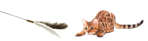 座ったままでも猫ちゃんと遊べる！全長約1.5メートルで大きな羽が付いた「超ロング猫じゃらし」がコメリのオリジナルブランド「Pet ami（ペットアミ）」より登場のサブ画像3