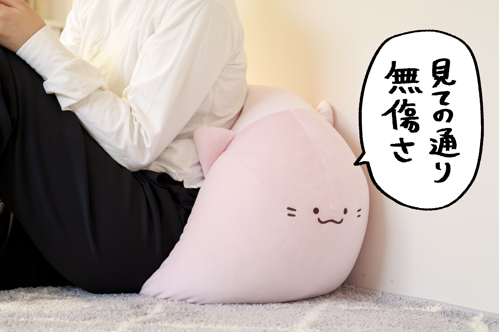 【もちもち】イラストレーター・庭猫もるさんが描く「ねこもどき」が初のクッション化！のサブ画像7