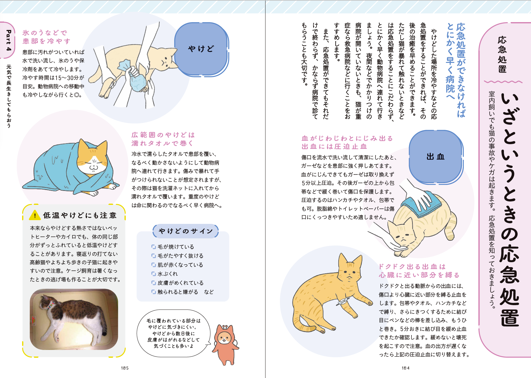 人気マンガ家・卵山玉子さんがマンガとイラストを描きおろし！はじめて猫を飼う人のための本『猫とくらそう　世界一わかりやすい猫飼いスタートブック』6月13日発売のサブ画像3