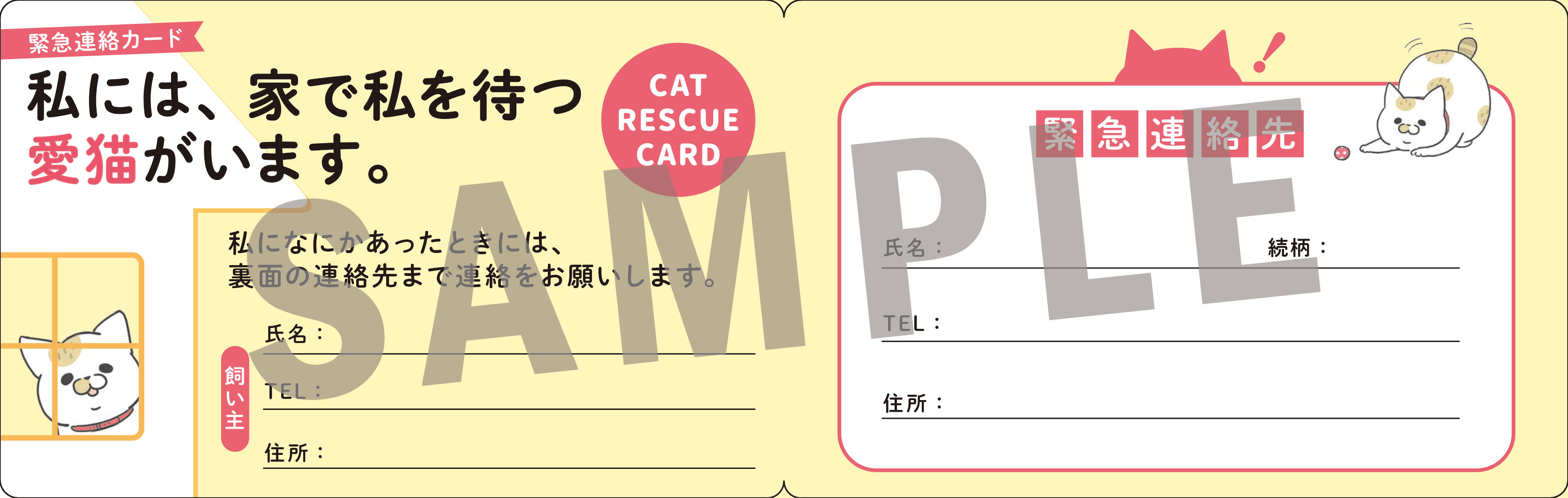 人気マンガ家・卵山玉子さんがマンガとイラストを描きおろし！はじめて猫を飼う人のための本『猫とくらそう　世界一わかりやすい猫飼いスタートブック』6月13日発売のサブ画像5