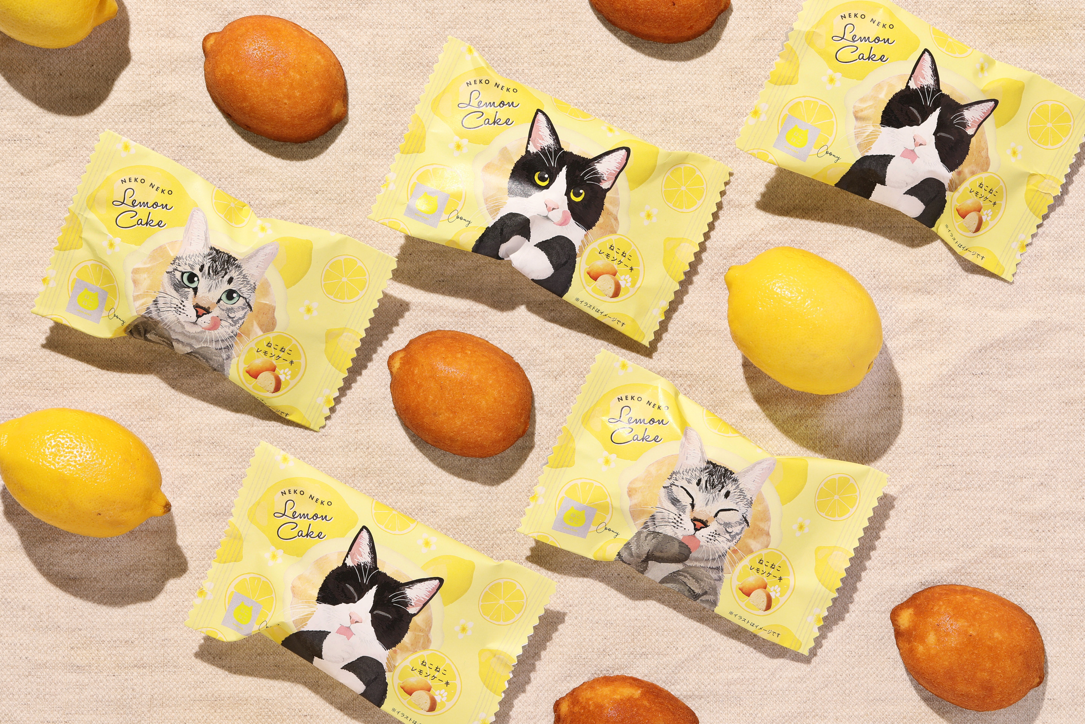 NEKO NEKO Summer Vacation（ねこねこサマーバケーション）第一弾！ “にゃん”ごく気分な新デザイン！夏にぴったりな「ねこねこレモンケーキ」や「ねこねこランチ保冷バッグ」が新発売のサブ画像3