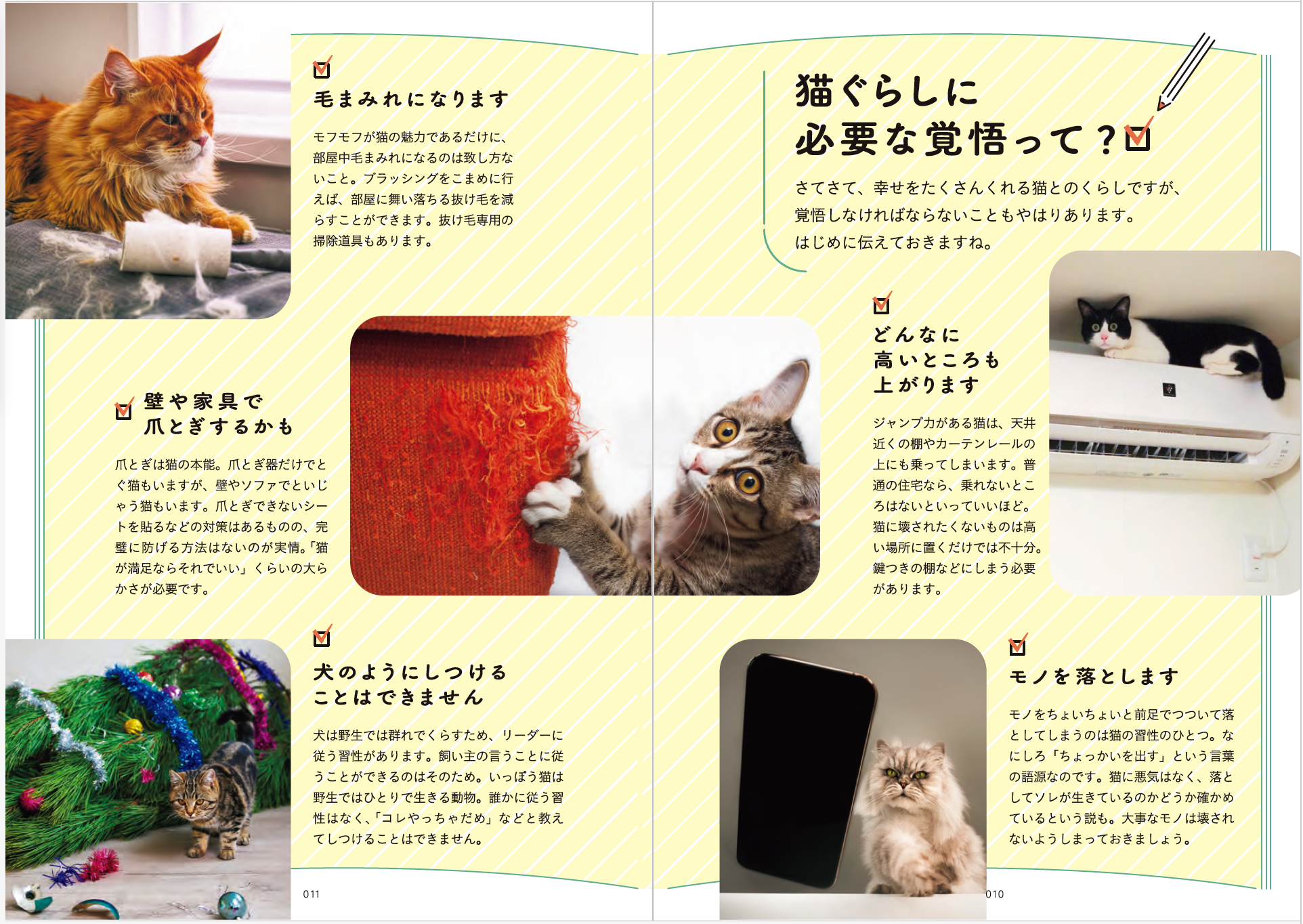 はじめて猫を飼う人のための本『猫とくらそう　世界一わかりやすい猫飼いスタートブック』6月13日発売　　人気マンガ家・卵山玉子さんがマンガとイラスト描きおろし！のサブ画像2