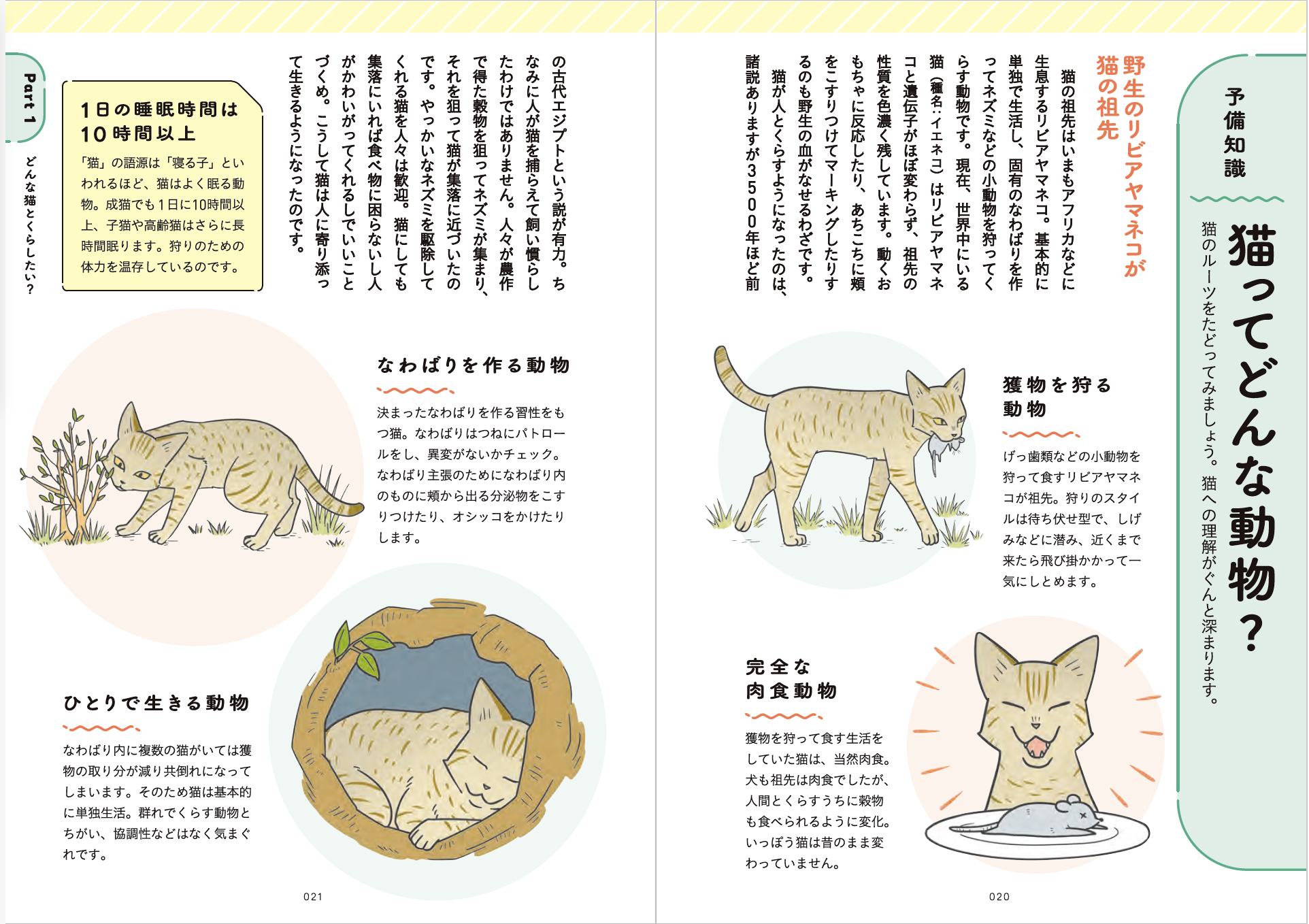 はじめて猫を飼う人のための本『猫とくらそう　世界一わかりやすい猫飼いスタートブック』6月13日発売　　人気マンガ家・卵山玉子さんがマンガとイラスト描きおろし！のサブ画像5