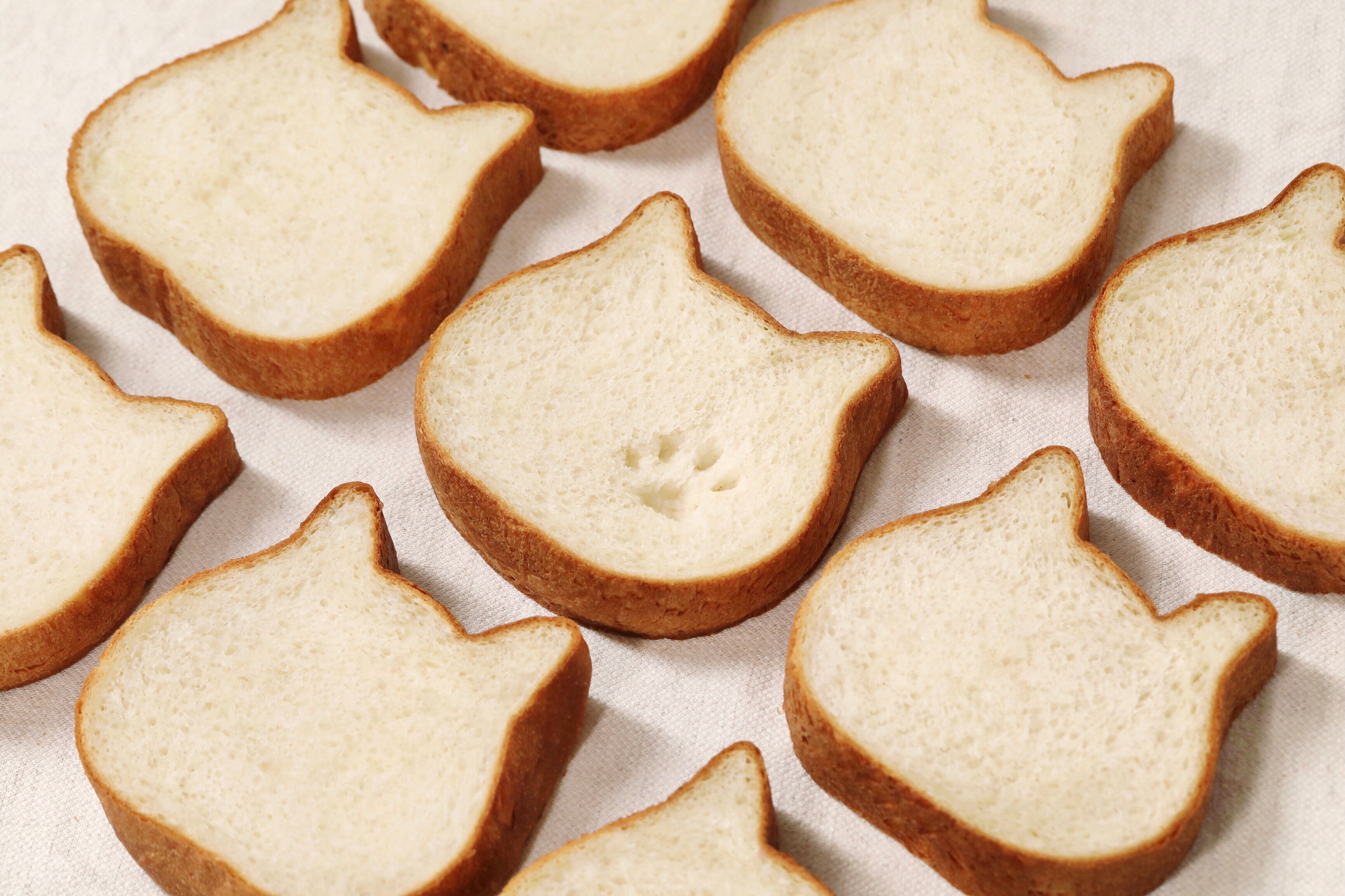 『ねこねこ食パン』がより“しっとり食感”になってリニューアル！リニューアルを記念し、コクのある練乳クリームを塗った注目の新商品『ねこねこクリームボックス』が期間限定で新発売！のサブ画像6
