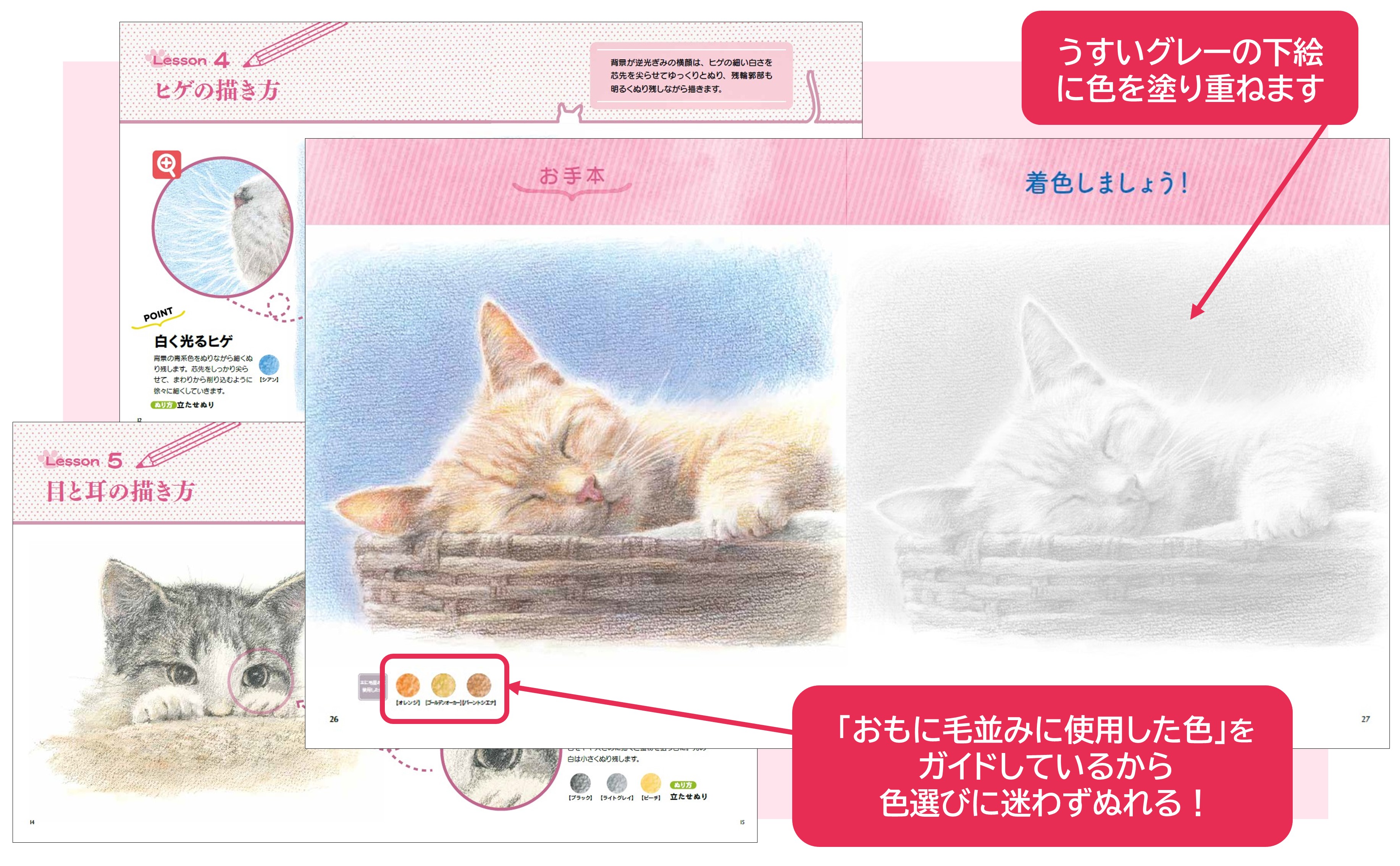 「プレバト‼」でおなじみの野村重存先生が描き下ろした、かわいいねこがいっぱい！『色鉛筆のねこのぬり絵』発売のサブ画像3