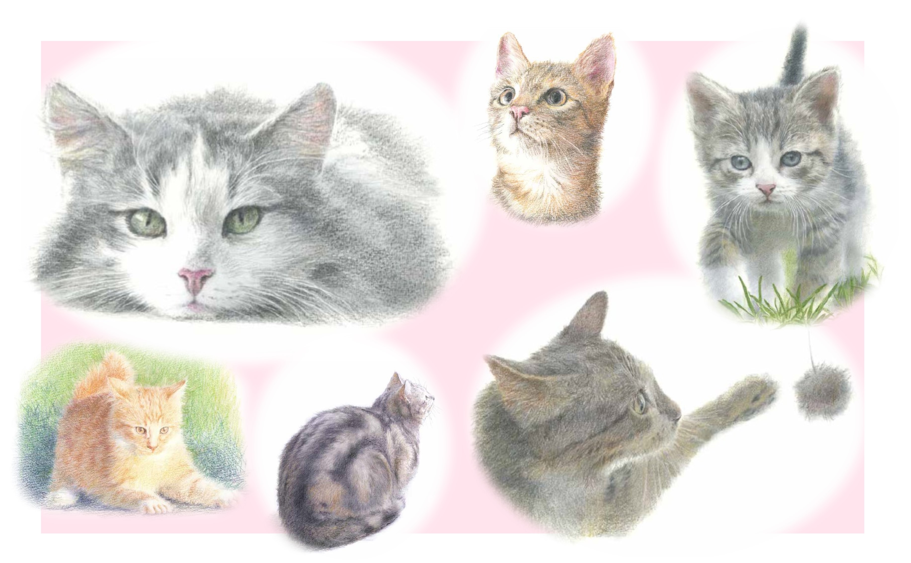 「プレバト‼」でおなじみの野村重存先生が描き下ろした、かわいいねこがいっぱい！『色鉛筆のねこのぬり絵』発売のサブ画像4
