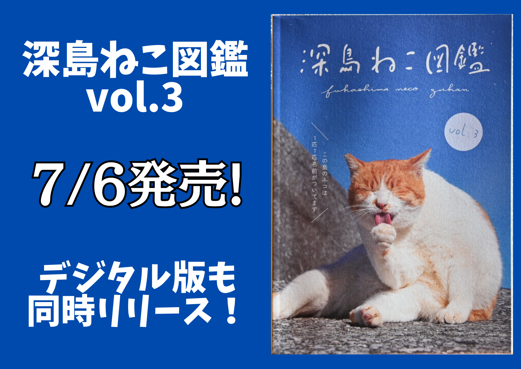 【深島ねこ図鑑＆ねこ図鑑デジタル発売！】島ねこの支援＆深島をもっと！楽しめる書籍とツールの販売がスタートしました【島民11人の島】のサブ画像1