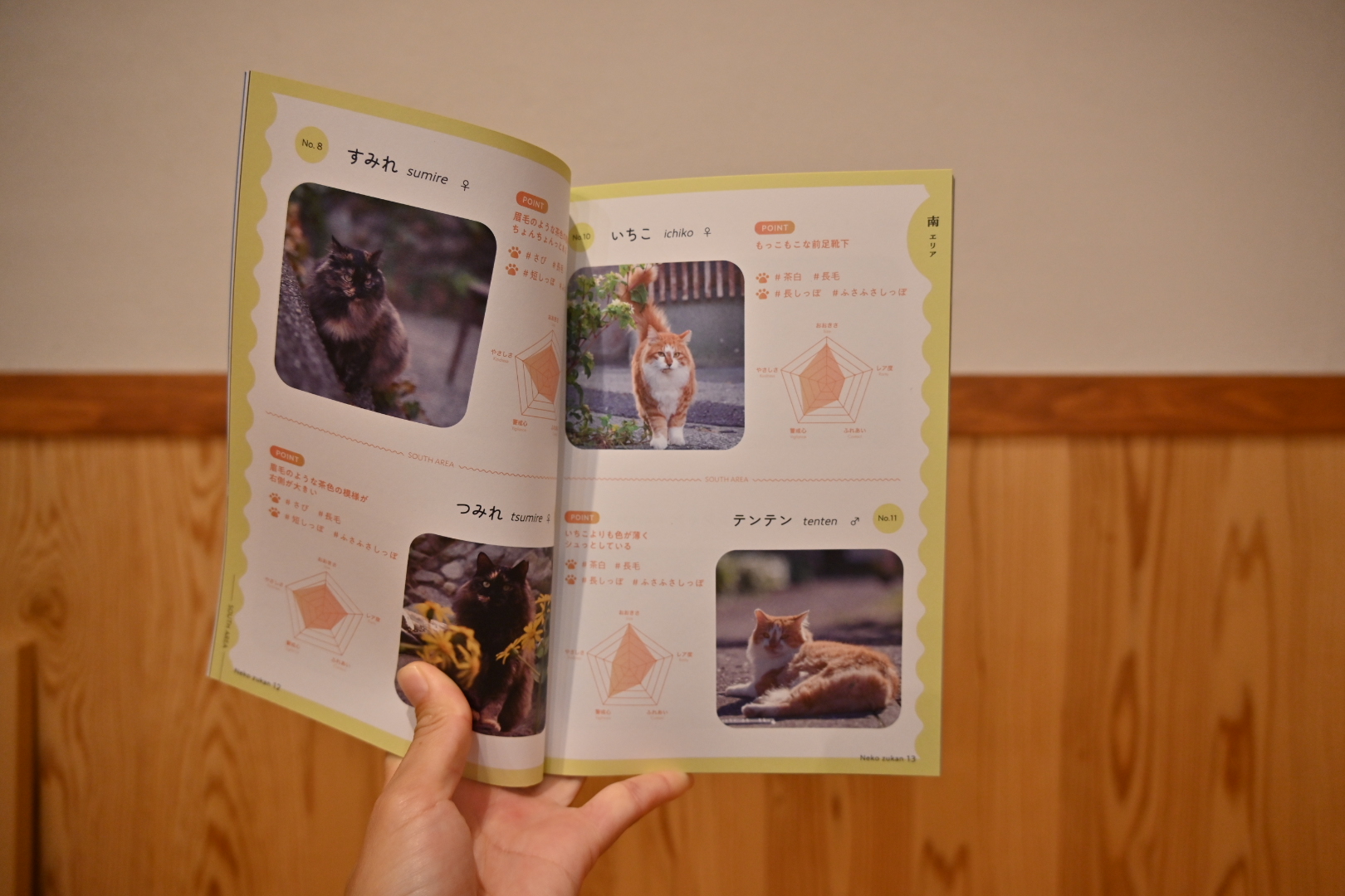 【深島ねこ図鑑＆ねこ図鑑デジタル発売！】島ねこの支援＆深島をもっと！楽しめる書籍とツールの販売がスタートしました【島民11人の島】のサブ画像2