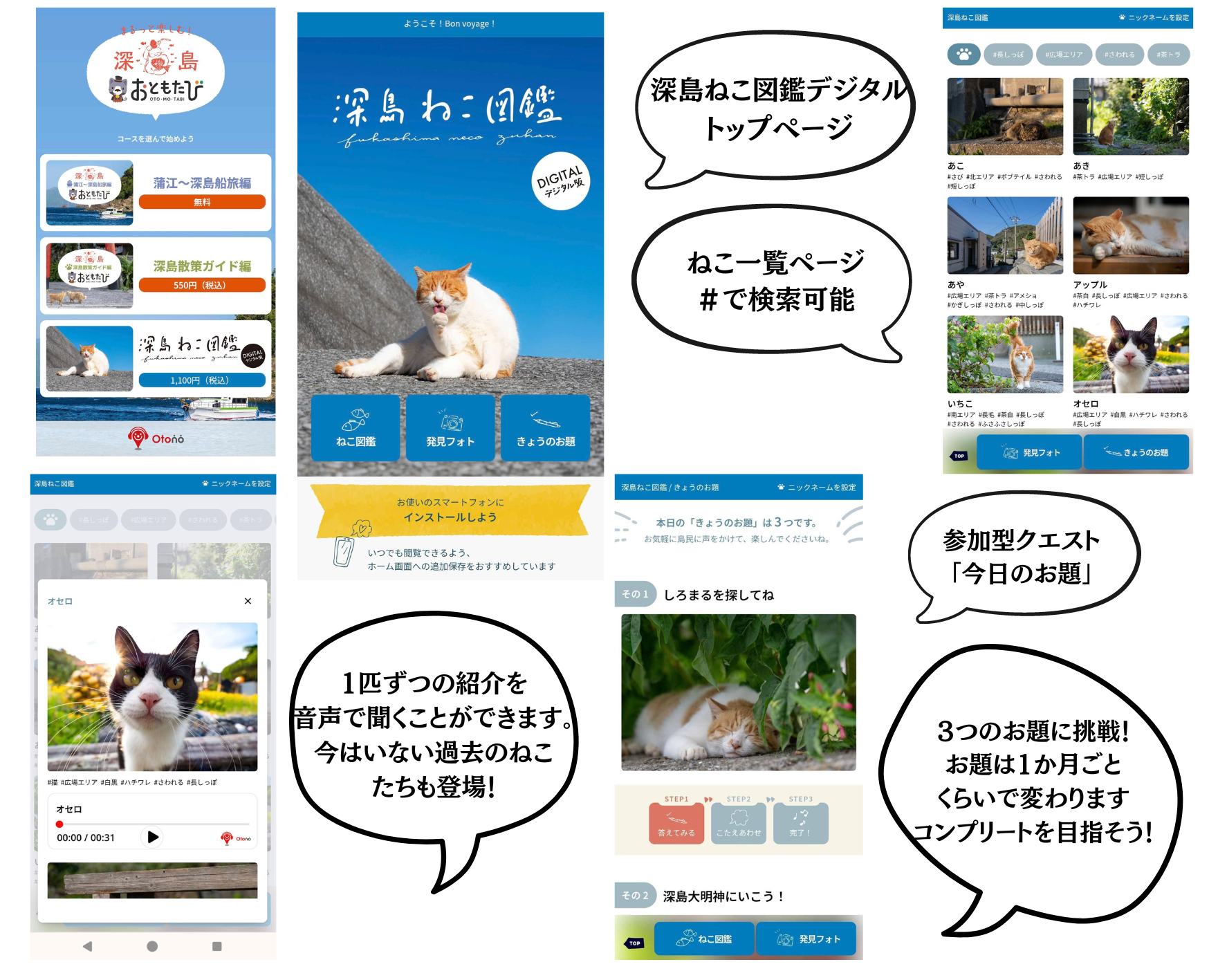 【深島ねこ図鑑＆ねこ図鑑デジタル発売！】島ねこの支援＆深島をもっと！楽しめる書籍とツールの販売がスタートしました【島民11人の島】のサブ画像3