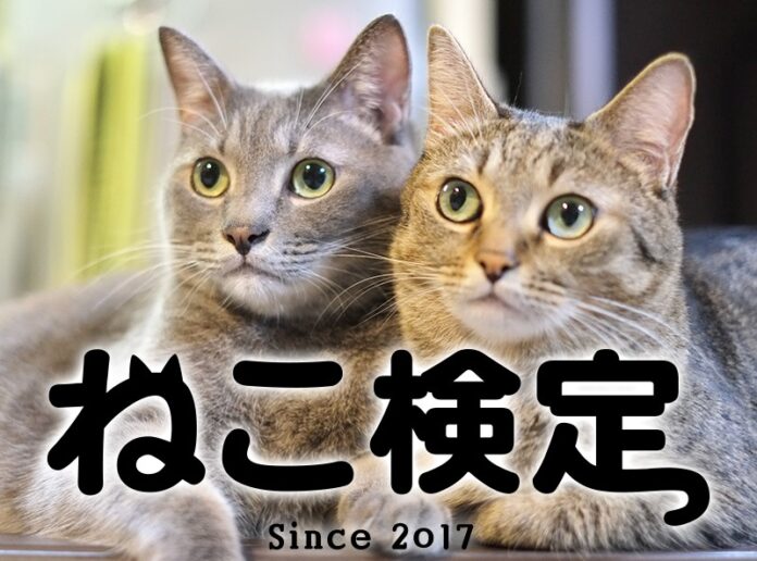 2025年3月、全国一斉に「ねこ検定」開催決定！東京農業大学 動物行動学研究室「猫と人との関係性に関する研究」との連携ものメイン画像